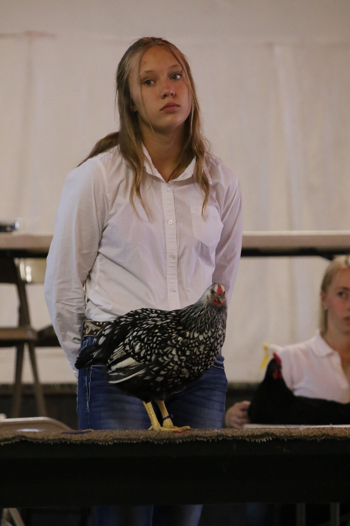PHOTOS: Poultry Show at Scotts Bluff County Fair 2020